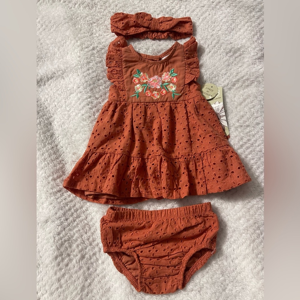 Baby Girls 2 pieces Embroidered Lined Dress Set with Accessory- Daisy Fuentes